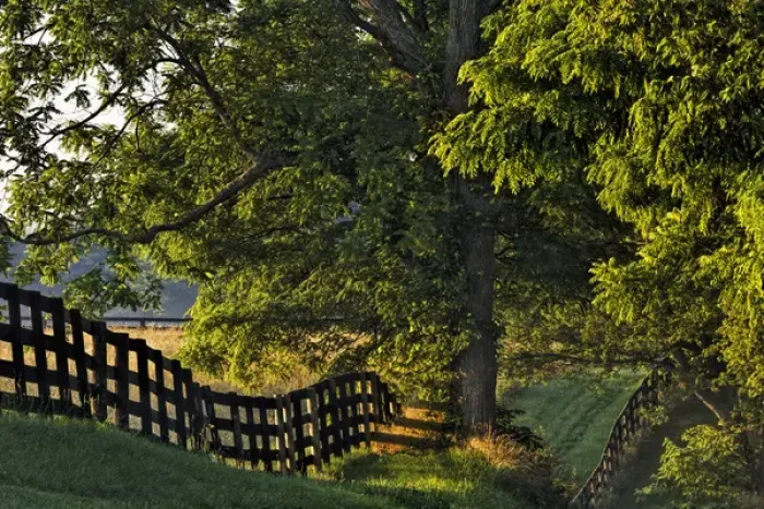 Framed Print : Farm fence at sunrise, Oldham Co. Kentucky Framed Print : Farm fence at sunrise, Oldham Co. Kentucky