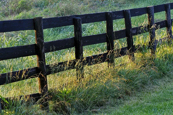 Farm fence at sunrise, Oldham County, Kentucky