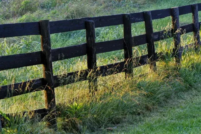 Framed Print : Farm fence at sunrise, Oldham County, Kentucky