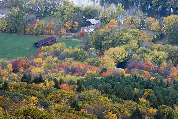 Farm in forest in fall next to the Connecticut River in Hadley, Massachusetts