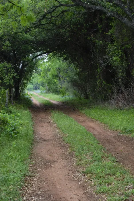 Framed Print : Farm road and pathway Framed Print : Farm road and pathway