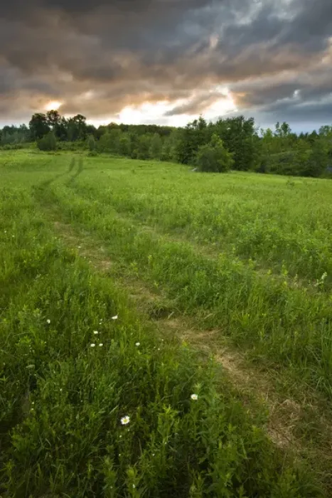 Framed Print : A farm road in Sabins Pasture in Montpelier, Vermont