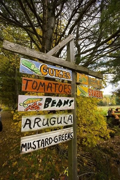 A farm stand in Holderness, New Hampshire