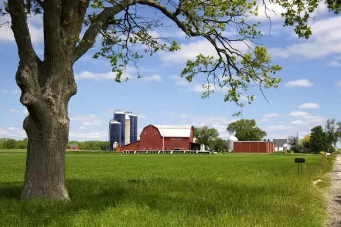 Framed Print : Farm surrounded by green unripe wheat at St. Louis, Michigan