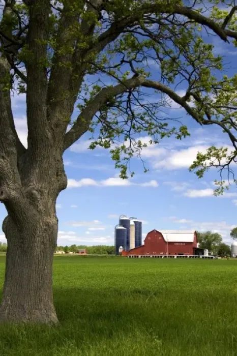 Framed Print : Farm surrounded by green unripe wheat at St. Louis, Michigan Framed Print : Farm surrounded by green unripe wheat at St. Louis, Michigan