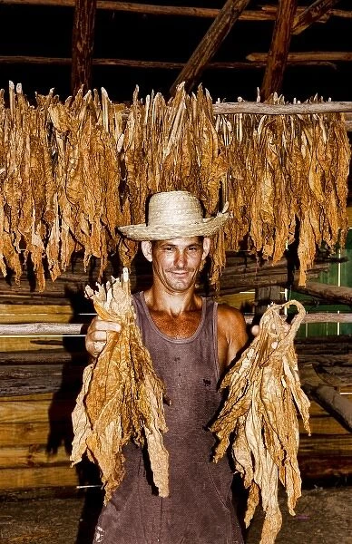 Farmer near barn to dry tobacco in tobacco fields in primative methods in Sierra