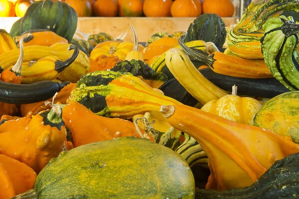 Farmers Market, autumn in Luling, Texas