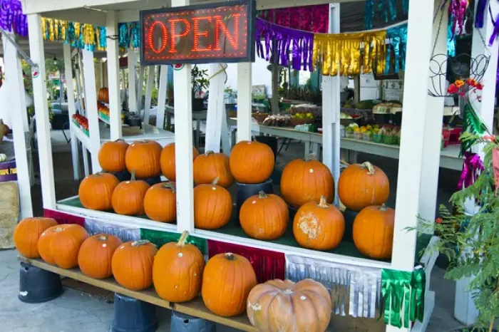 Framed Print : Farmers Market, autumn in Luling, Texas