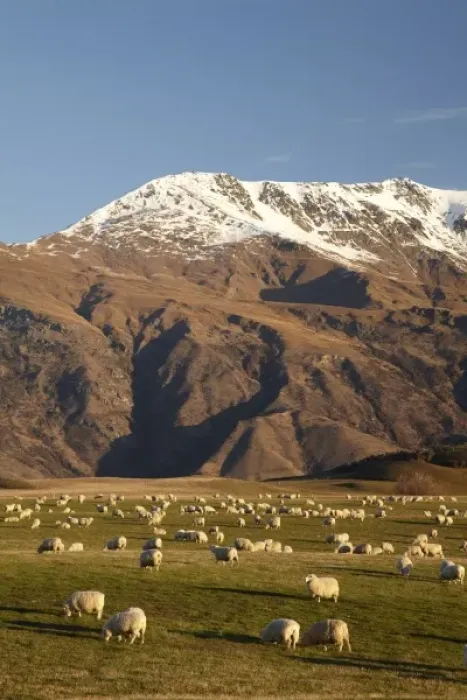 Framed Print : Farmland, Crown Terrace, and Ben Cruachan, near Arrowtown, South Island, New Zealand