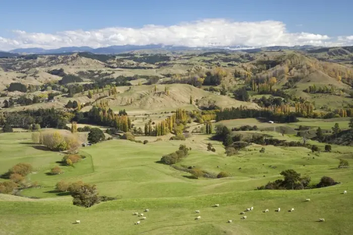 Framed Print : Farmland, Esk Valley, near Napier, Hawkes Bay, North Island, New Zealand
