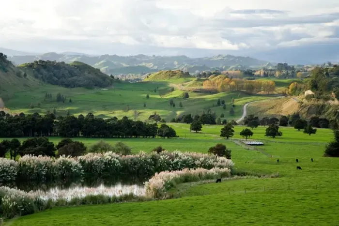 Framed Print : Farmland, Kawhatau Valley, Rangitikei, North Island, New Zealand