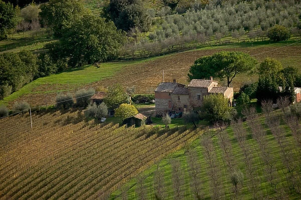 Farmland around Montepulciano, Tuscany, Italy
