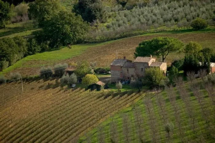 Framed Print : Farmland around Montepulciano, Tuscany, Italy Framed Print : Farmland around Montepulciano, Tuscany, Italy