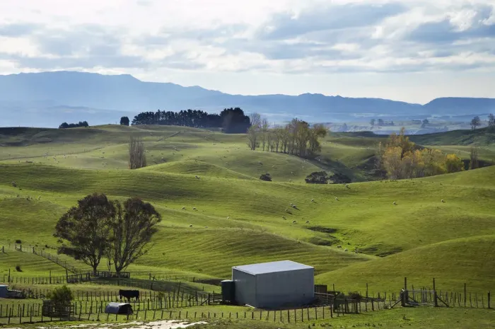 Framed Print : Farmland, Napier - Taihape Road, Hawkes Bay, North Island, New Zealand