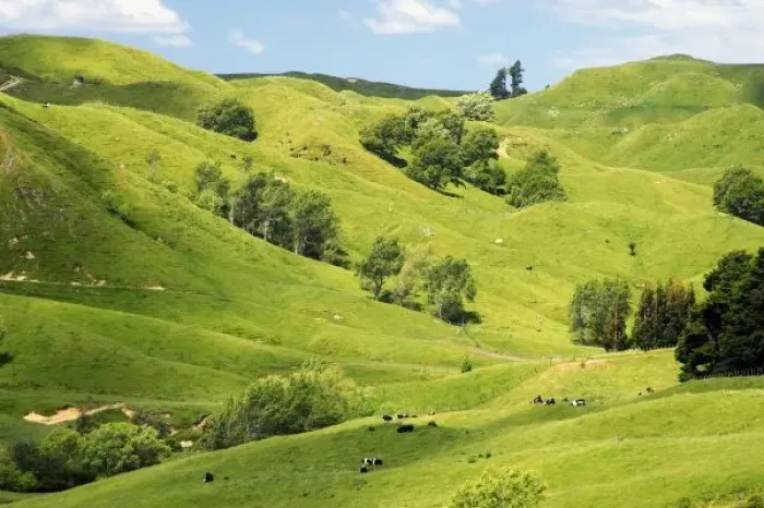Framed Print : Farmland near Gisborne, New Zealand Framed Print : Farmland near Gisborne, New Zealand