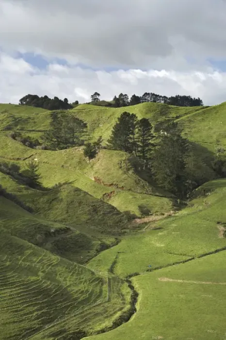 Framed Print : Farmland near Inglewood, Taranaki, North Island, New Zealand