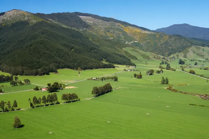 Framed Print : Farmland near Linkwater, Marlborough Sounds, South Island, New Zealand - aerial Framed Print : Farmland near Linkwater, Marlborough Sounds, South Island, New Zealand - aerial