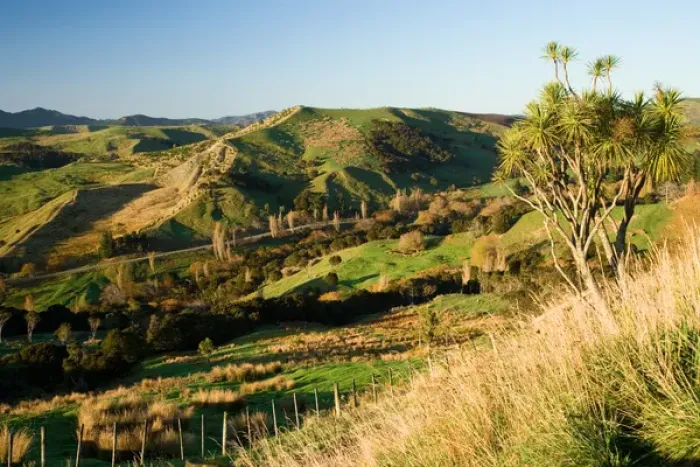 Framed Print : Farmland near Martinborough, Wairarapa, North Island, New Zealand Framed Print : Farmland near Martinborough, Wairarapa, North Island, New Zealand