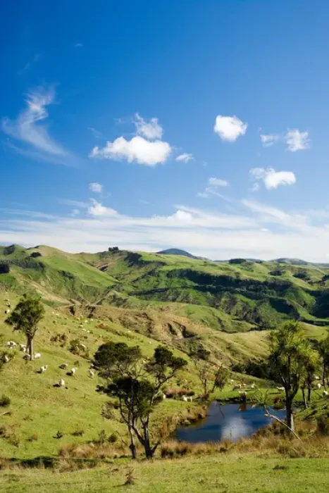 Framed Print : Farmland near Martinborough, Wairarapa, North Island, New Zealand