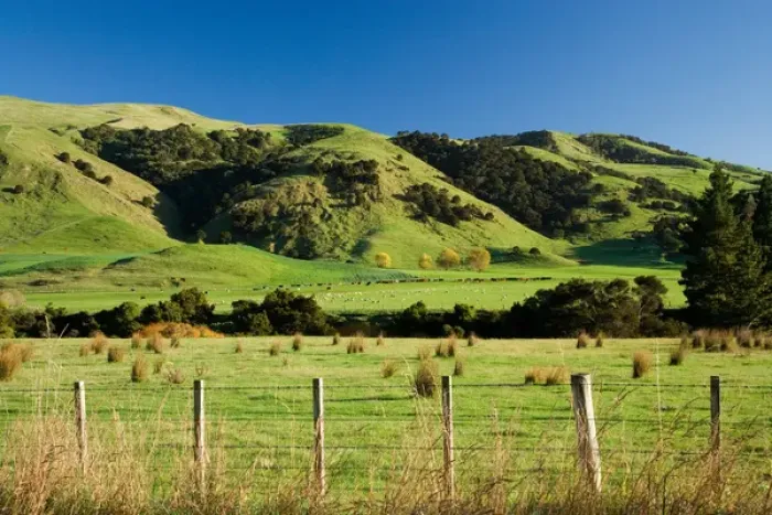 Framed Print : Farmland near Martinborough, Wairarapa, North Island, New Zealand Framed Print : Farmland near Martinborough, Wairarapa, North Island, New Zealand