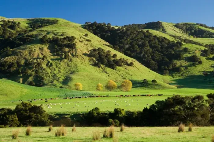 Framed Print : Farmland near Martinborough, Wairarapa, North Island, New Zealand Framed Print : Farmland near Martinborough, Wairarapa, North Island, New Zealand