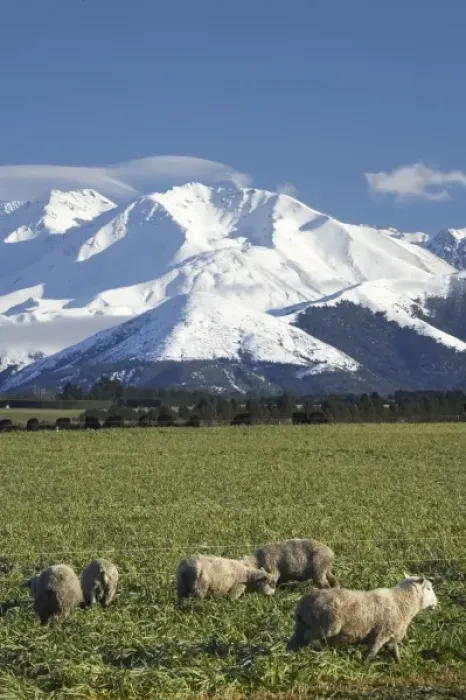 Framed Print : Farmland near Methven and Winterslow Range, Mid Canterbury, South Island, New Zealand