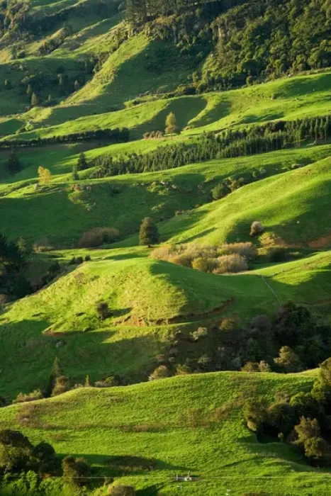Framed Print : Farmland near Te Kuiti, King Country, North Island, New Zealand