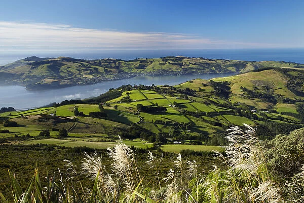 Farmland at Upper Junction, and Otago Harbor and Otago Peninsula, Dunedin, South Island