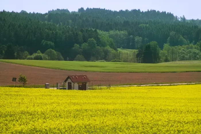 Framed Print : Farmlands of canola, South Bohemia, Czech Republic Framed Print : Farmlands of canola, South Bohemia, Czech Republic