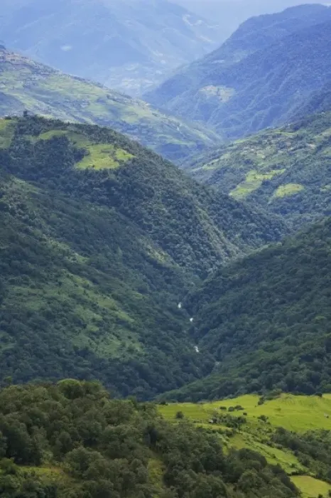 Framed Print : Farmlands and Himalaya forest in the Mangdue Valley, Bhutan