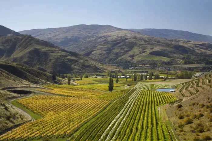 Framed Print : Felton Road Vineyard in autumn, Bannockburn, near Cromwell, Central Otago, South Island Framed Print : Felton Road Vineyard in autumn, Bannockburn, near Cromwell, Central Otago, South Island