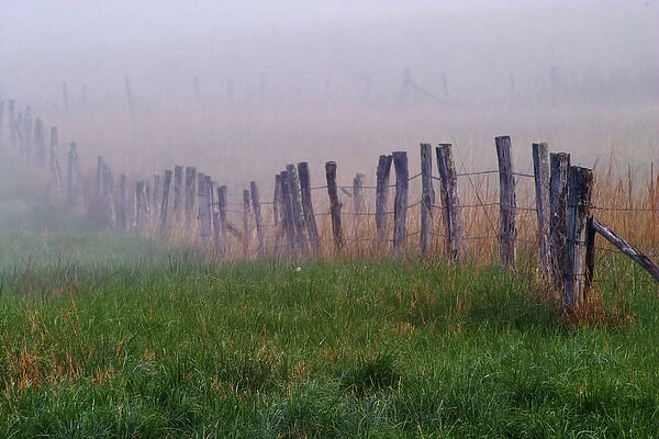 Fence across foggy meadow Cades Cove Great Smoky Mountains N. P. TN