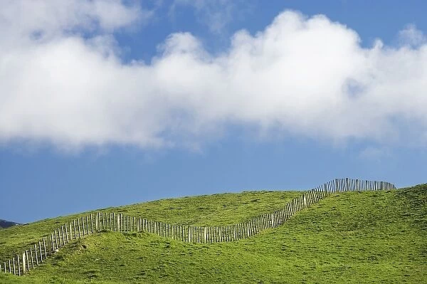 Fenceline and Farmland near Stratford, Taranaki, North Island, New Zealand