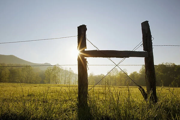 Fencepost at sunrise, Cades Cove, Great Smoky Mountains National Park, Tennessee