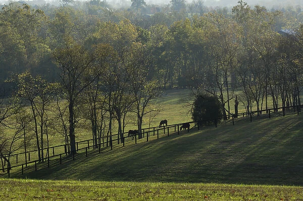 Fences and horse pastures at sunrise, Bluegrass region around Lexington, Kentucky