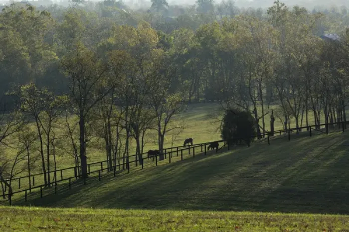 Framed Print : Fences and horse pastures at sunrise, Bluegrass region around Lexington, Kentucky Framed Print : Fences and horse pastures at sunrise, Bluegrass region around Lexington, Kentucky