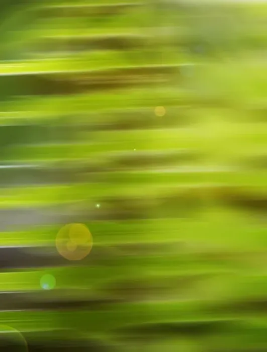 Framed Print : Fern abstract Framed Print : Fern abstract