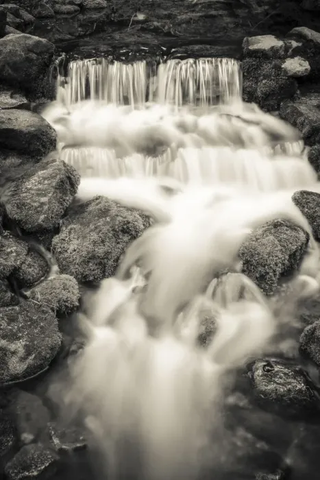 Framed Print : Fern Spring, Yosemite National Park, California, USA
