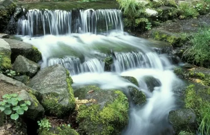 Framed Print : Fern Spring, Yosemite National Park Framed Print : Fern Spring, Yosemite National Park