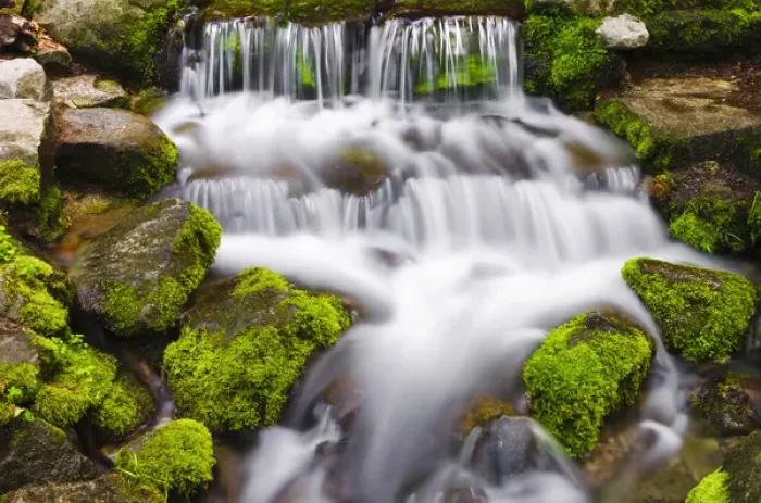 Framed Print : Fern Spring, Yosemite National Park, California Framed Print : Fern Spring, Yosemite National Park, California