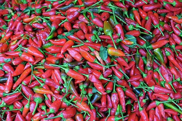 Fes, Morocco. Red hot chiles for sale in the market