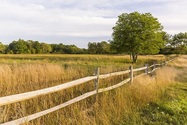 A field in Ipswich, Massachusetts