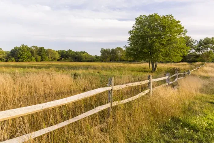Framed Print : A field in Ipswich, Massachusetts Framed Print : A field in Ipswich, Massachusetts