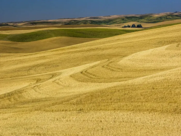 Framed Print : Fields during harvest Framed Print : Fields during harvest