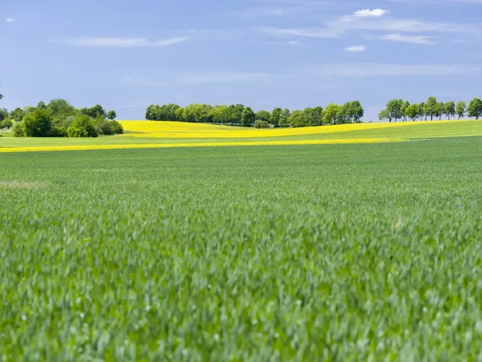 Framed Print : Fields in Thuringia near towns of Muehlhausen and Weberstedt, Germany