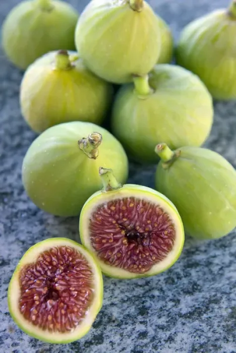 Framed Print : Figs (Ficus carica) Framed Print : Figs (Ficus carica)