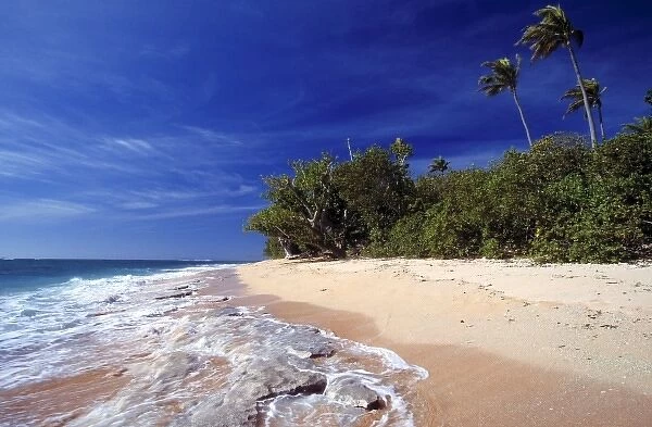 Fiji Islands, Tavarua. This beach on Tavarua, in the Fiji Islands, wouldn t be