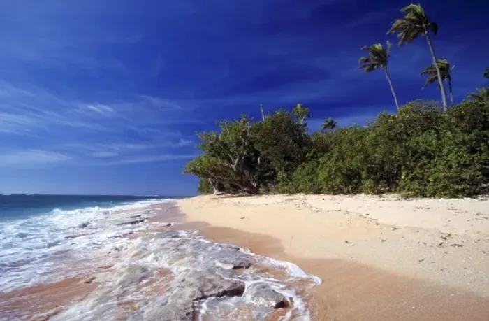 Framed Print : Fiji Islands, Tavarua. This beach on Tavarua, in the Fiji Islands, wouldn t be