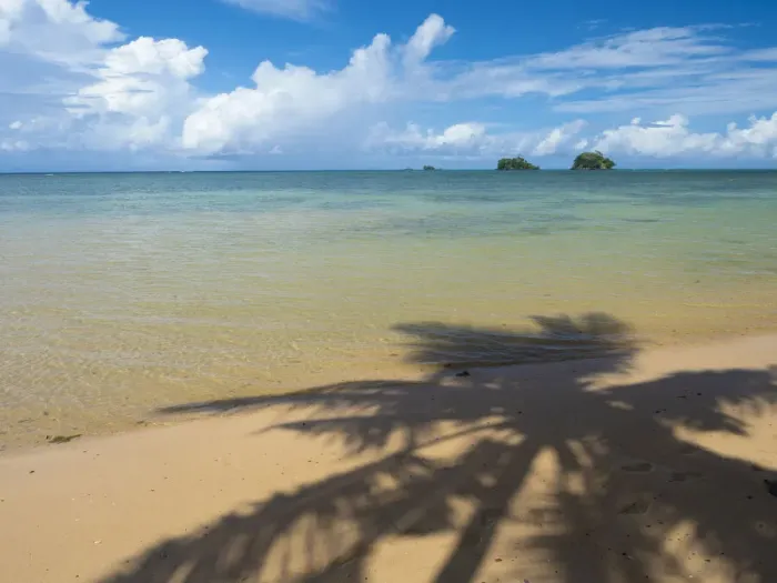 Framed Print : Fiji, Taveuni Island. Silhouette of a palm tree on sandy beach with blue sky