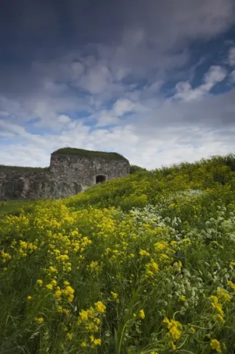 Framed Print : Finland, Helsinki, Suomenlinna-Sveaborg Fortress, fortress landscape Framed Print : Finland, Helsinki, Suomenlinna-Sveaborg Fortress, fortress landscape